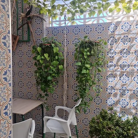 Planta Baja-benicarlo Appartement